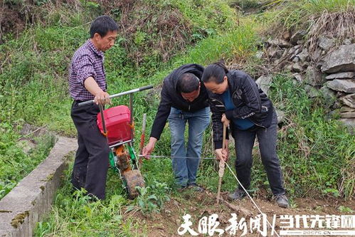 余庆县敖溪镇 农技 农机 助力高粱种植提产增效